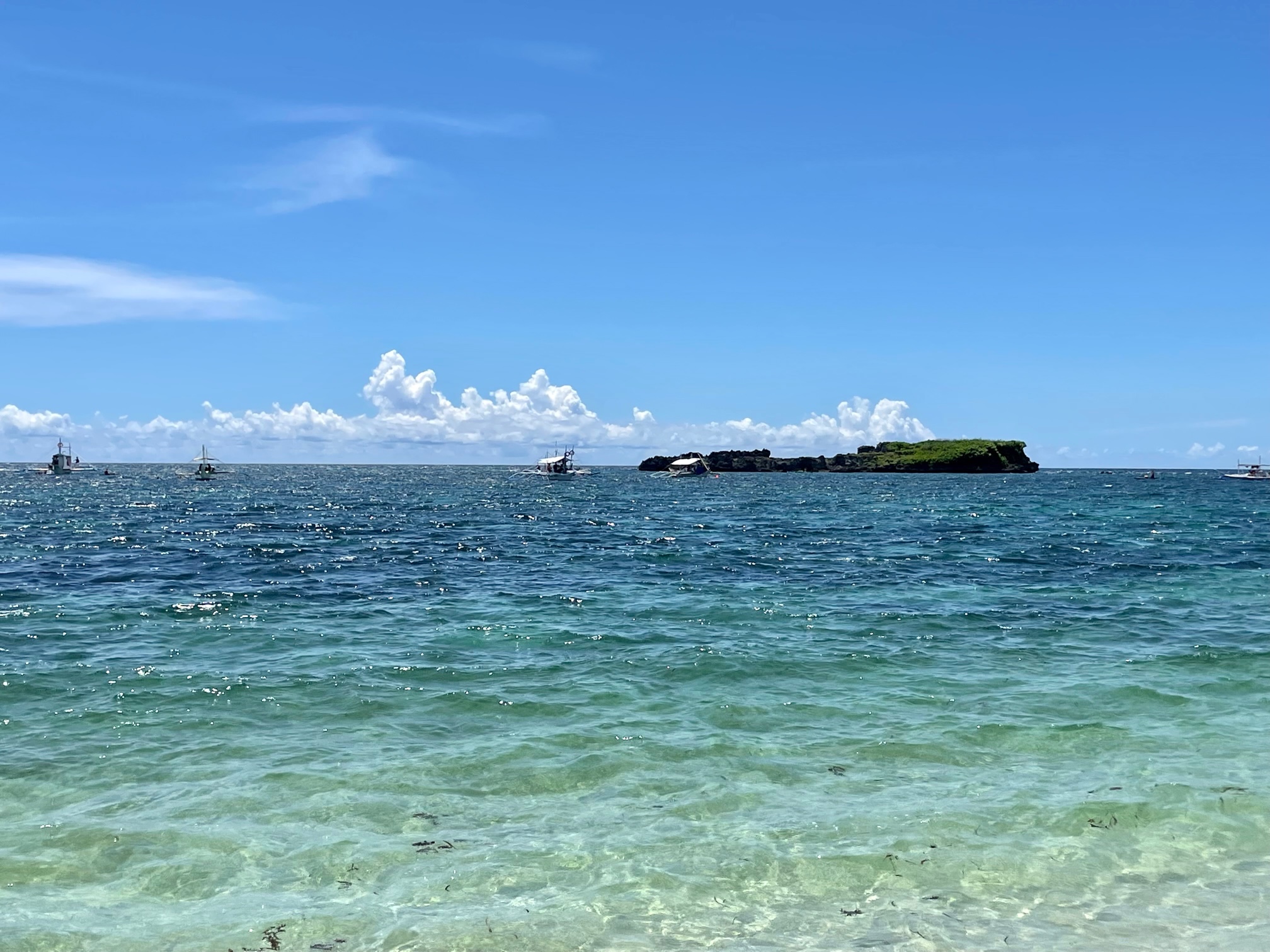 crocodile island snorkeling