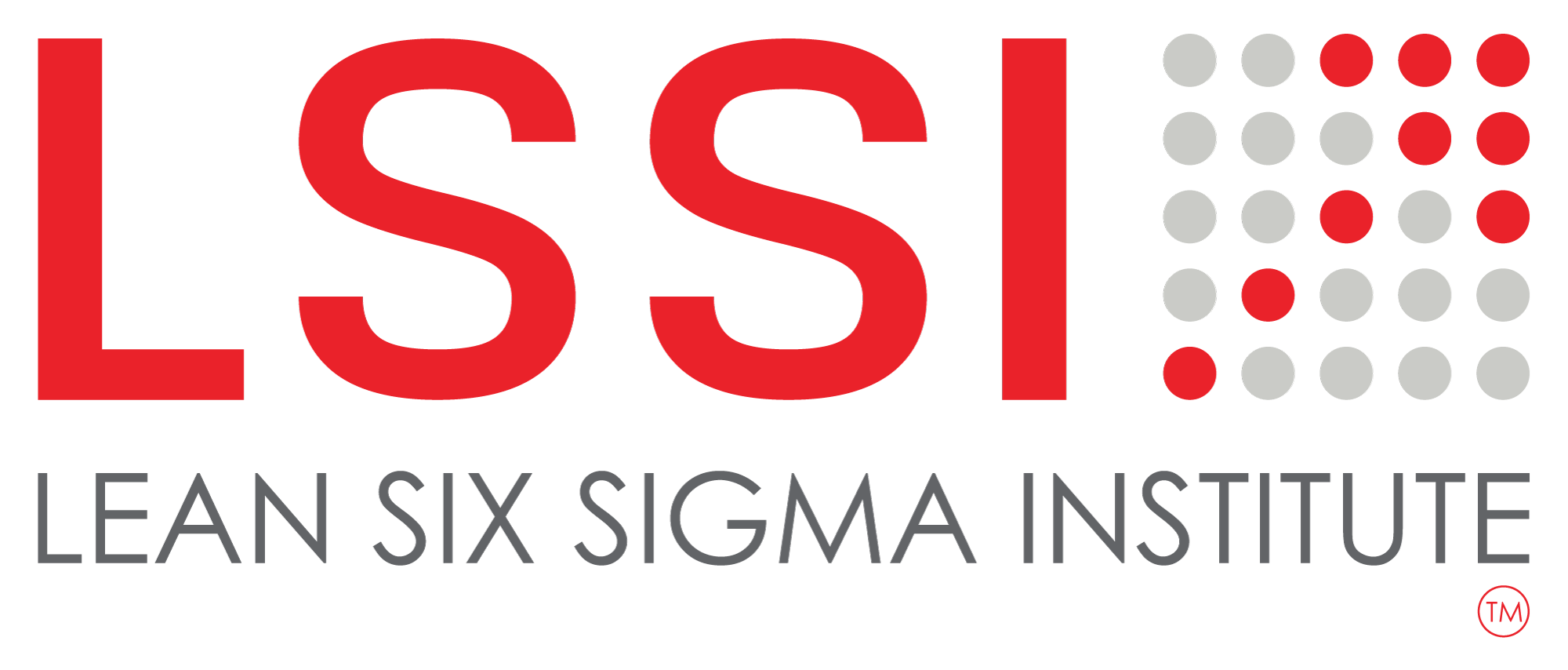 lean six sigma institute