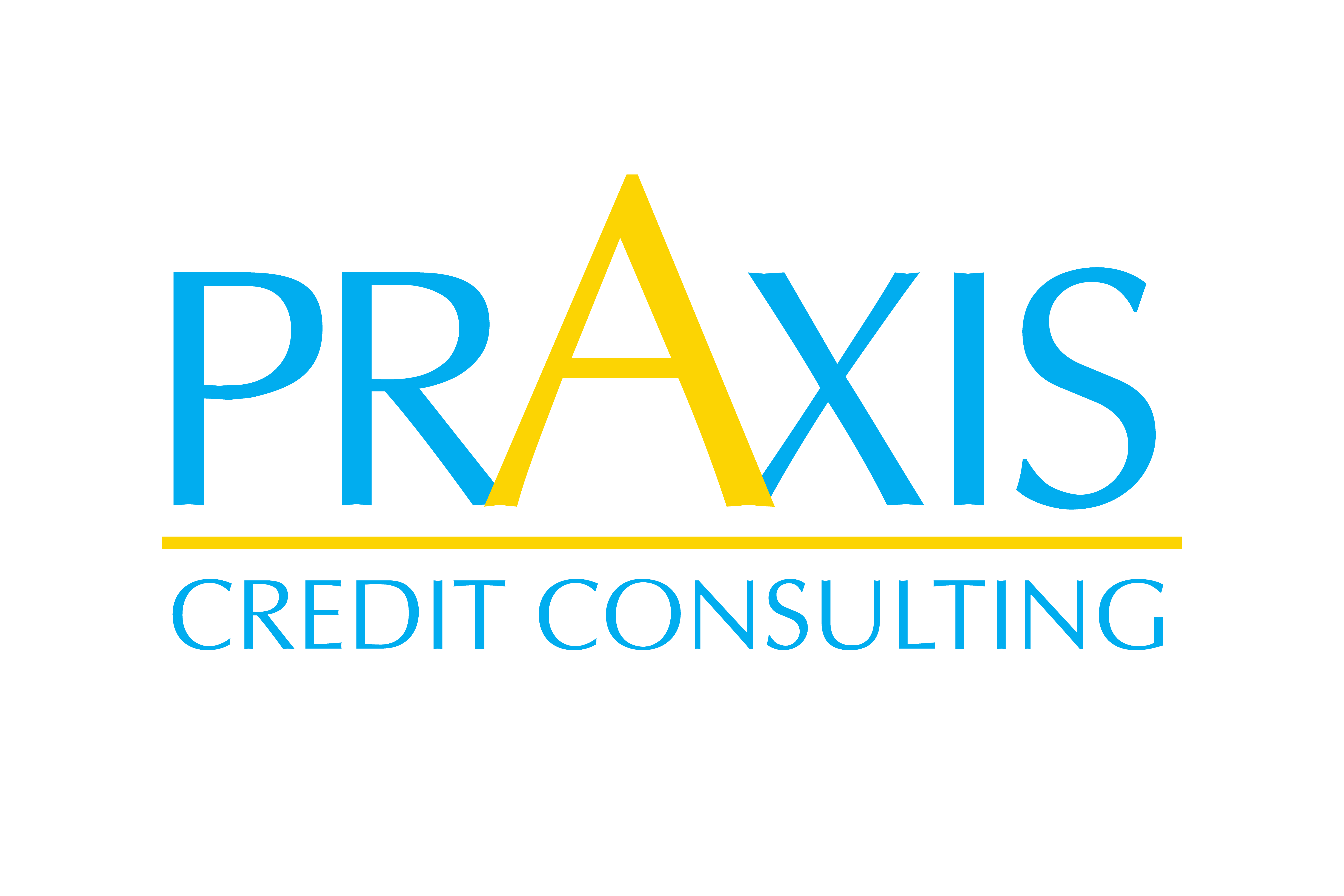 praxis credit consulting Logo