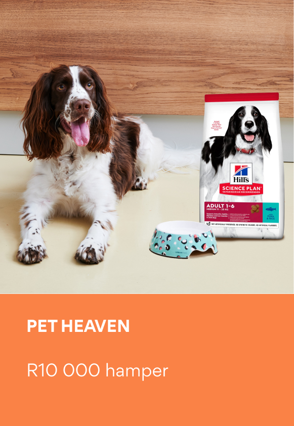 PET HEAVEN R10000 hamper