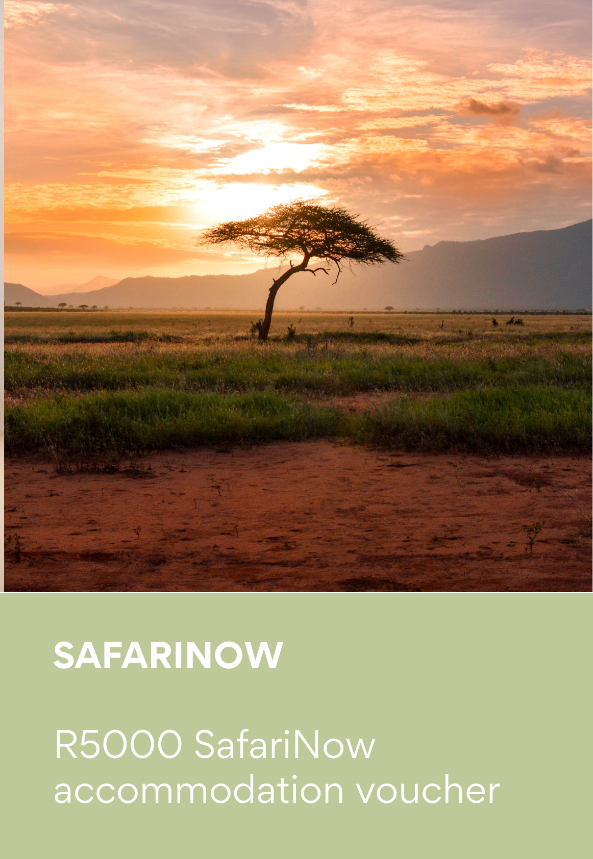 Safarinow