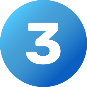 Number 3 Icon