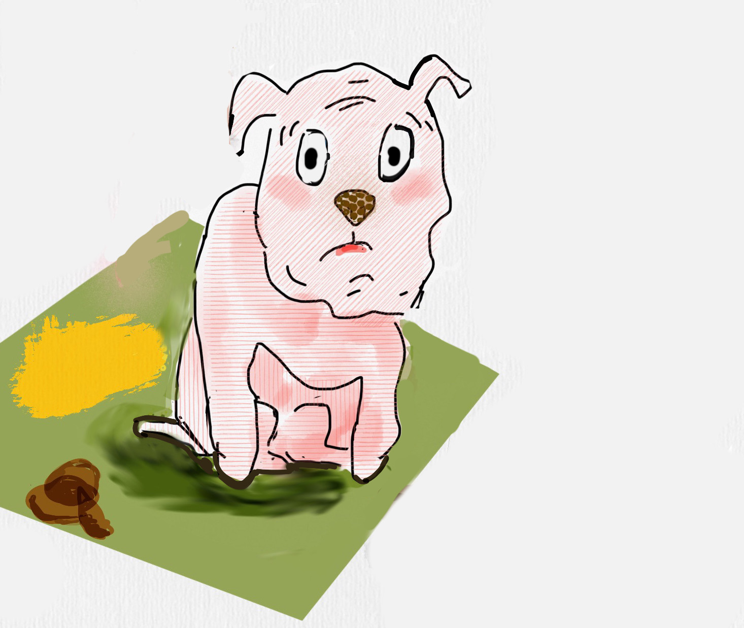 Eight Steps To A HouseTrained Dog