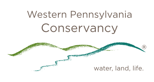 WPC Logo