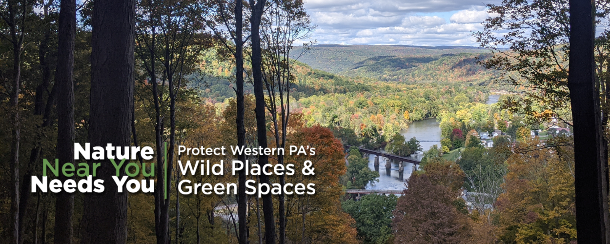 Nature Near You Needs You - Protect Western PA's Wild Places & Green Spaces - An autumn view from WPC's Joshua C. Whetzel, Jr. Memorial Recreation Area in Confluence Borough, Somerset County, PA