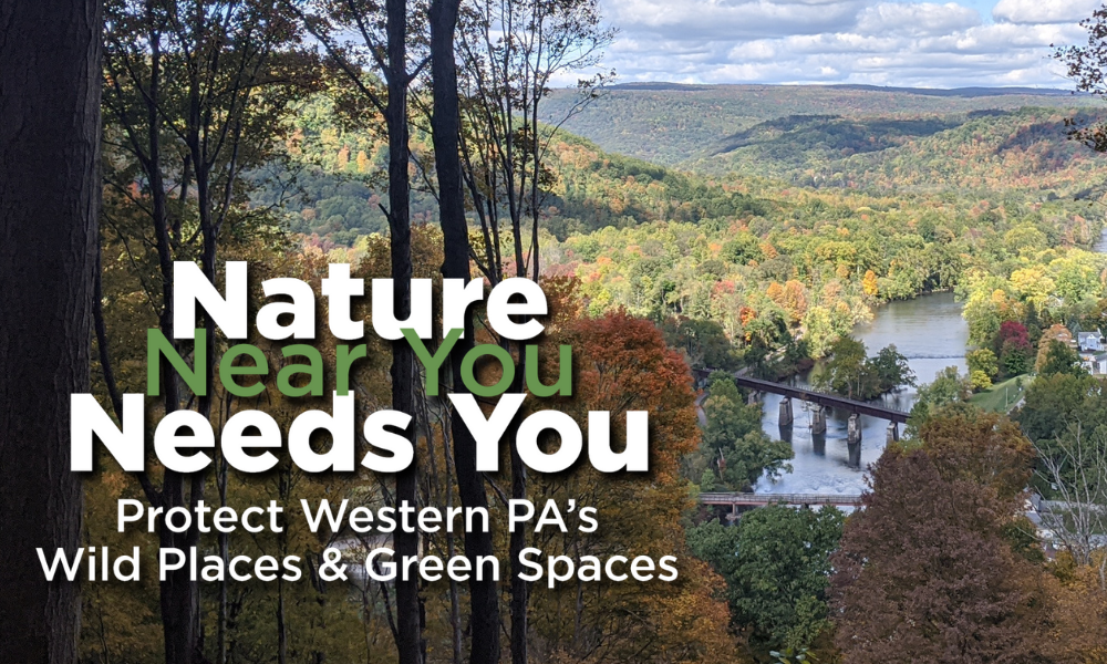Nature Near You Needs You - Protect Western PA's Wild Places & Green Spaces - An autumn view from WPC's Joshua C. Whetzel, Jr. Memorial Recreation Area in Confluence Borough, Somerset County, PA