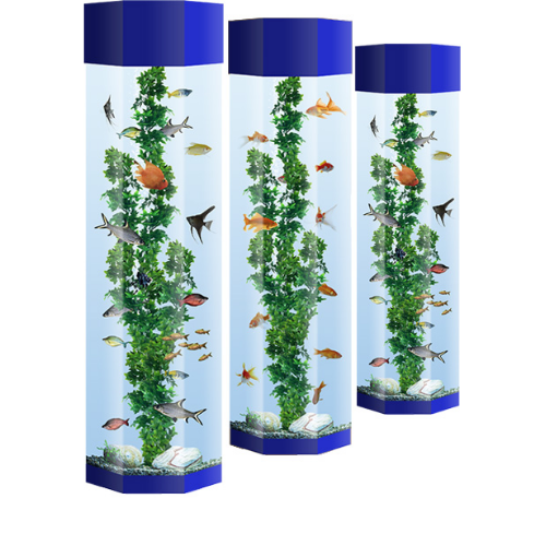 AquaFanatics_just_add_food_aquarium_rental_hire_school4