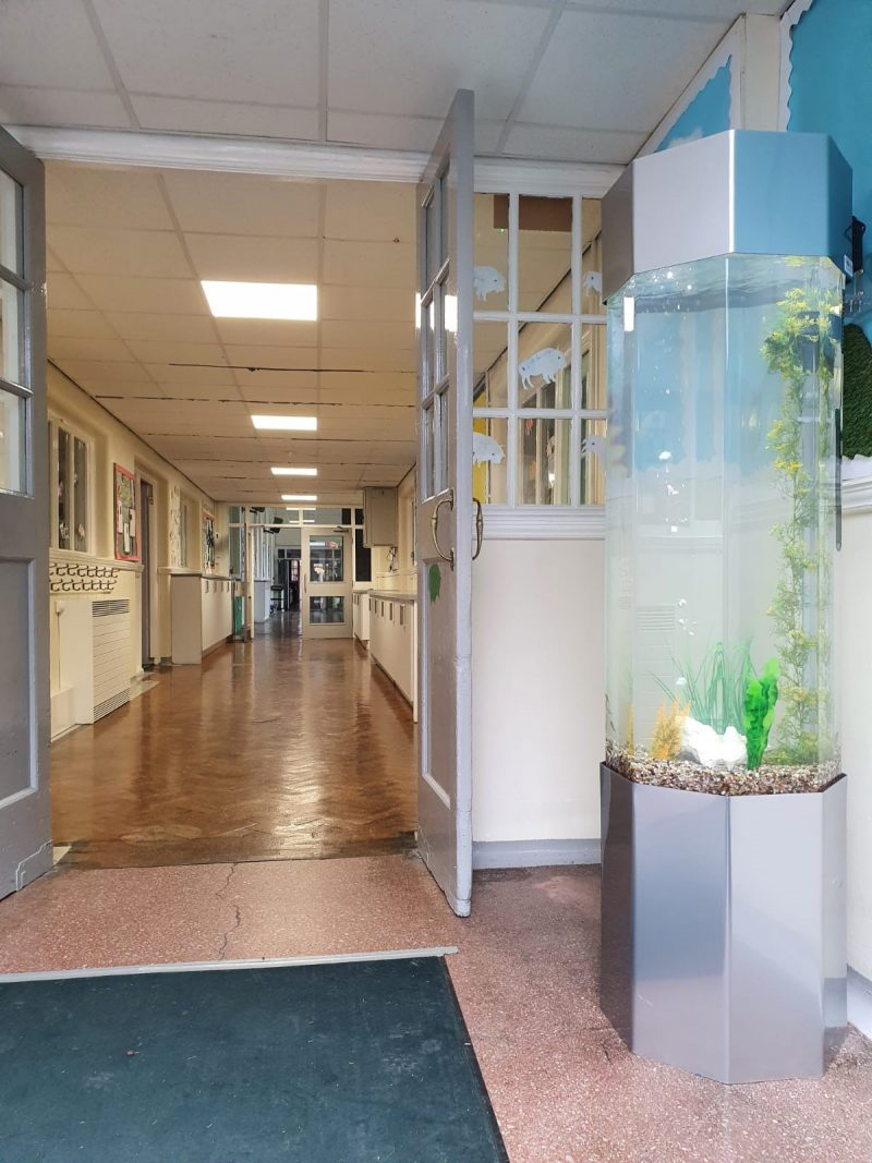 AquaFanatics_just_add_food_aquarium_rental_hire_school5