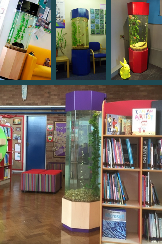 AquaFanatics_just_add_food_aquarium_rental_hire_school5