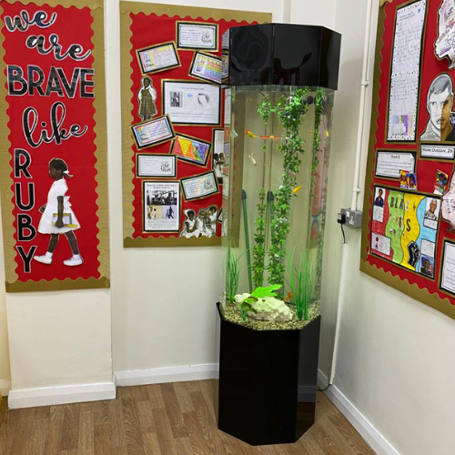 AquaFanatics_just_add_food_aquarium_rental_hire_school3