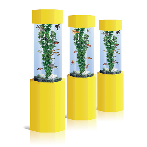 AquaFanatics_just_add_food_aquarium_rental_hire_school4