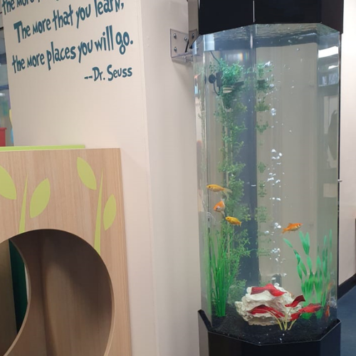 AquaFanatics_just_add_food_aquarium_rental_hire_school