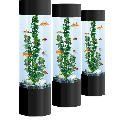 AquaFanatics_just_add_food_aquarium_rental_hire_school4