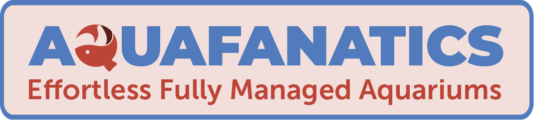 Aquafanatics - Effortless Fully Managed Aquariums