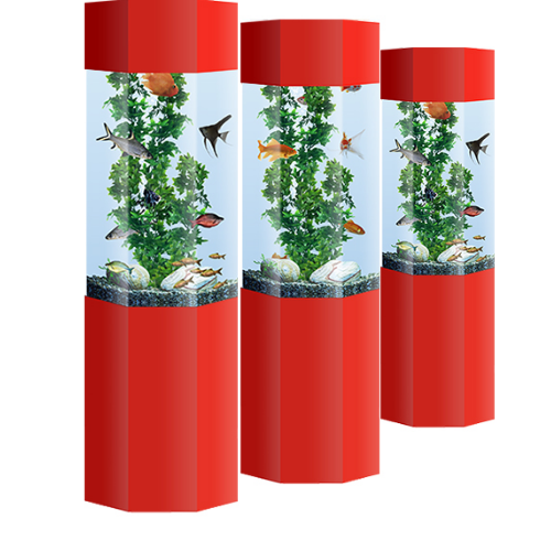 AquaFanatics_just_add_food_aquarium_rental_hire_school4