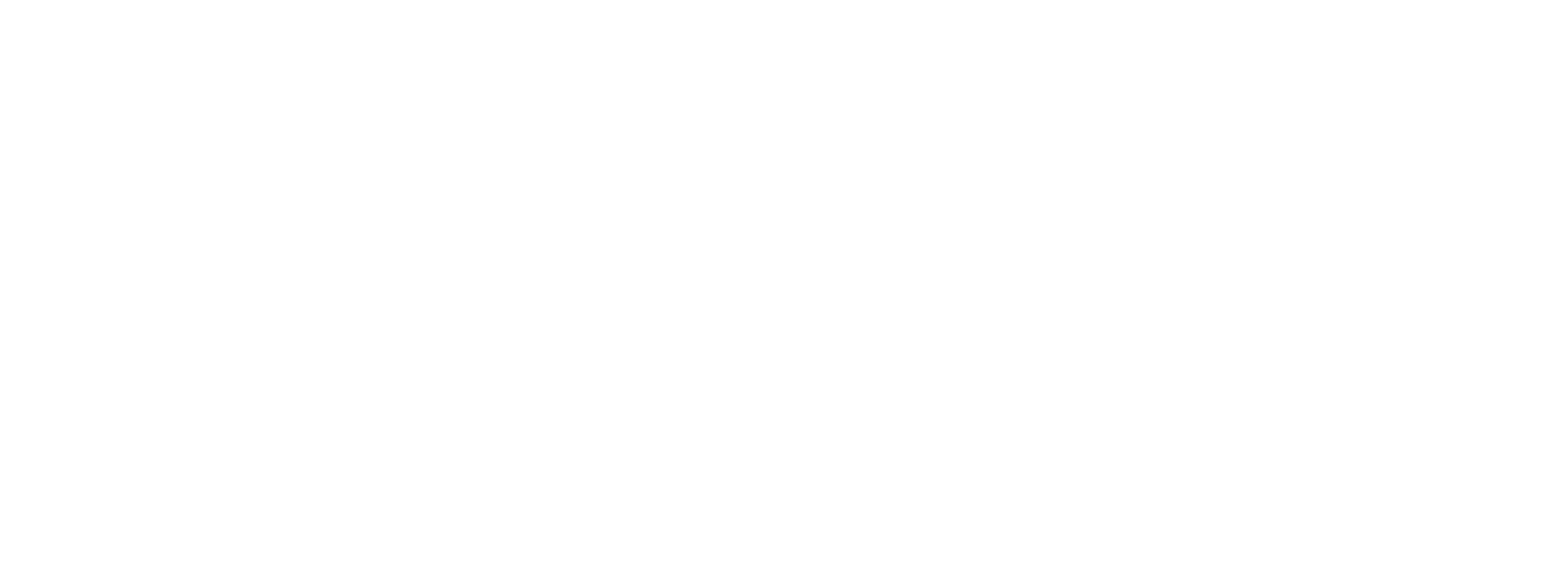 Dream Bike logo