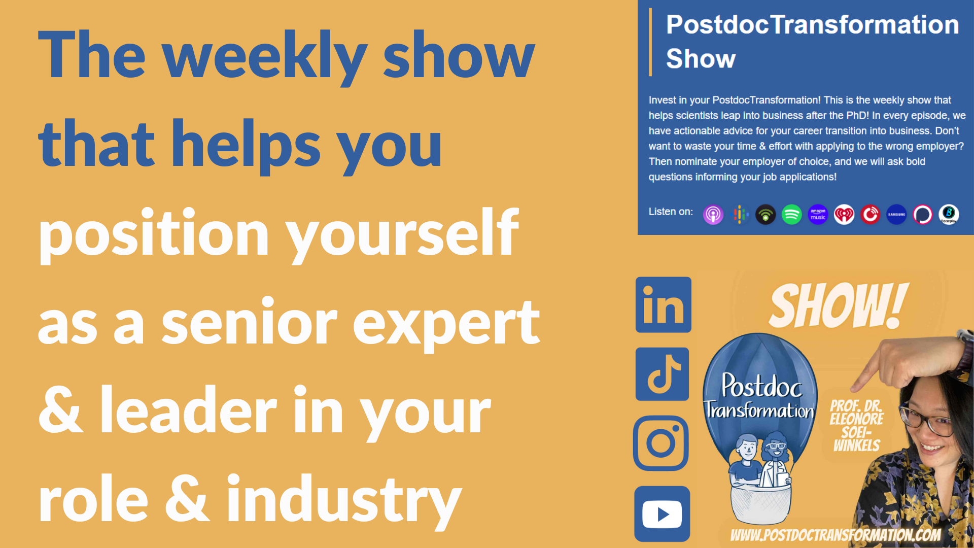 The weekly show that helps you position yourself as a senior expert & leader in your role & industry