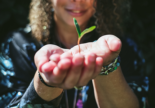 Integrate, dream and activate
