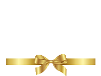 Vivitek