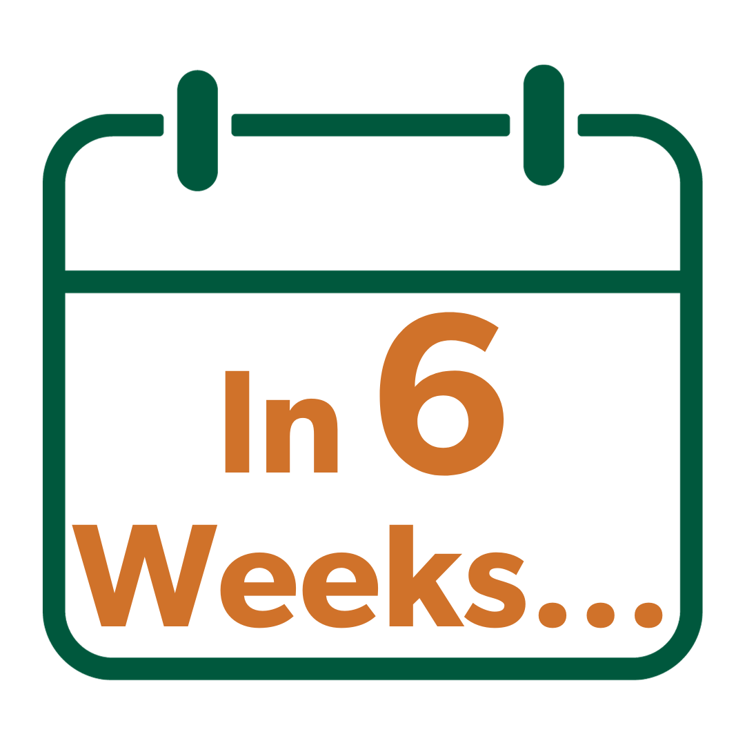 In 6 weeks...