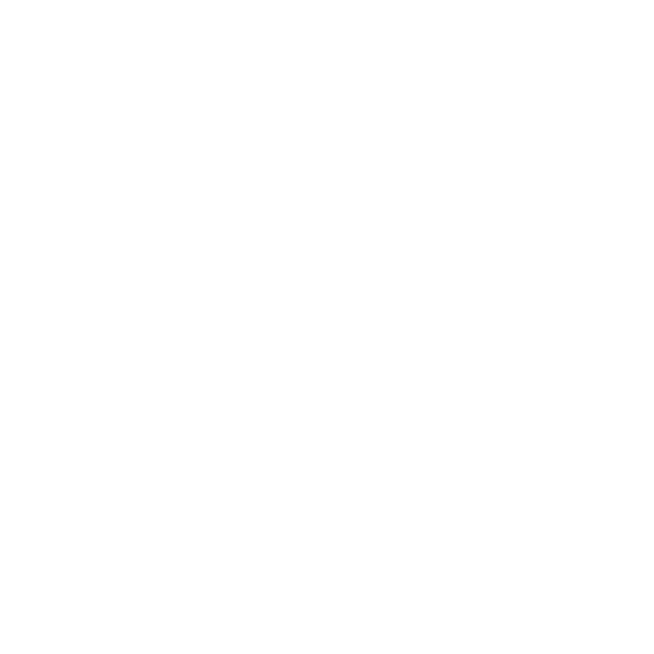 The logo of X Shore