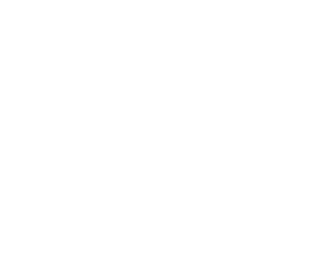 DM Logo