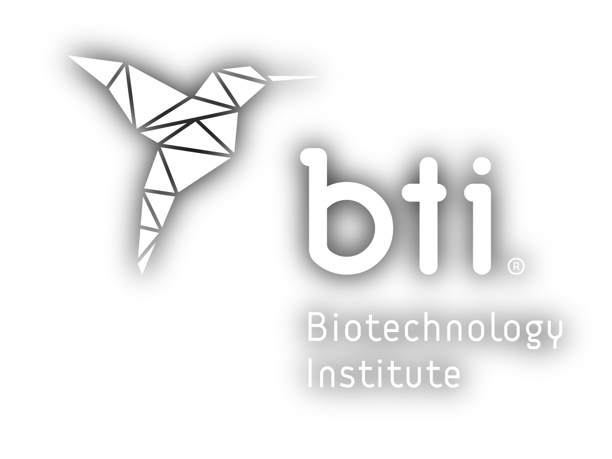 BTI BIOTECHNOLOGY INSTITUTE