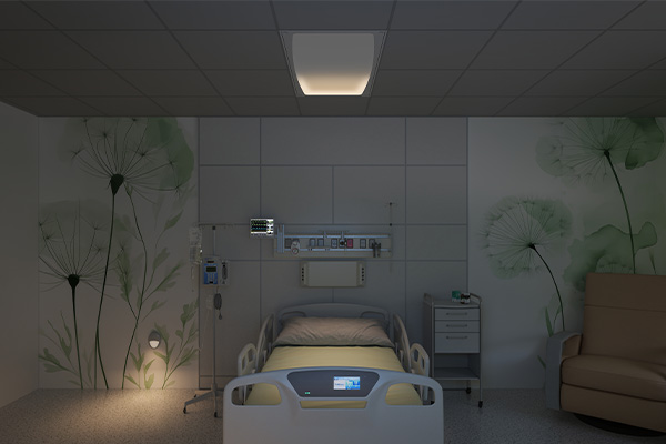 MedMaster Pillow 2x4 in reading mode