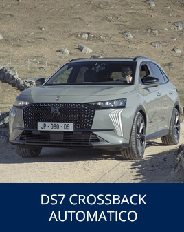 DS7