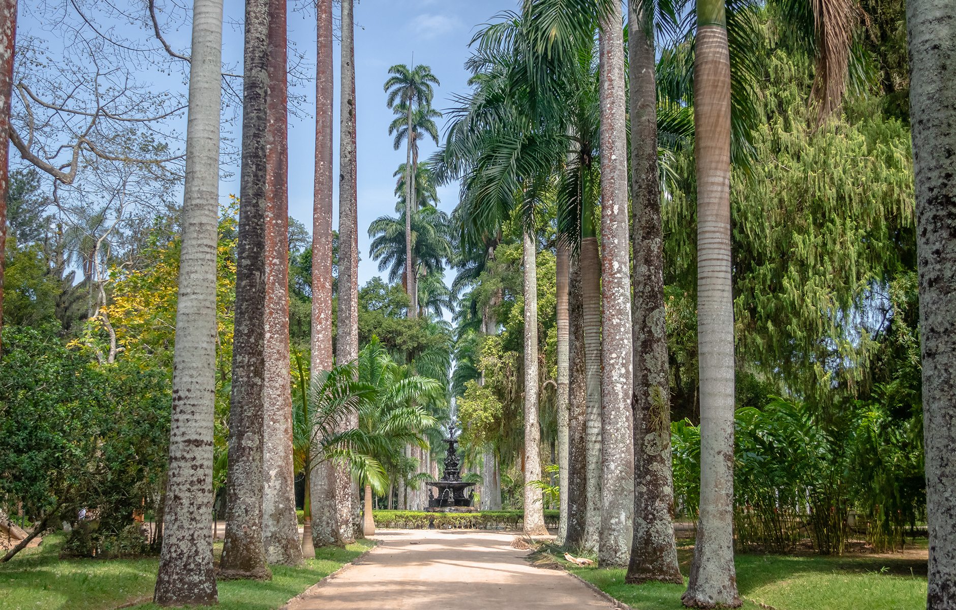 Jardim Botânico