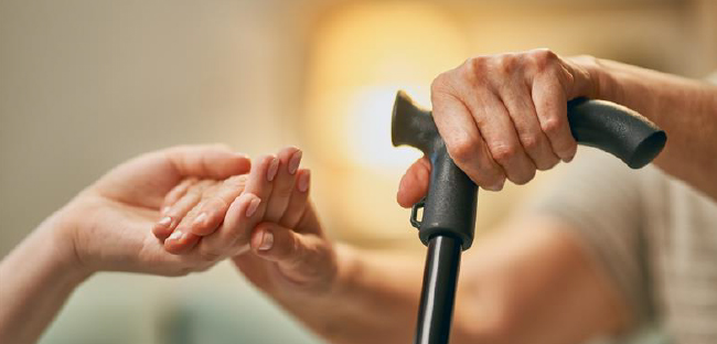 Imagen de una planta y monedas como símbolo de rentabilidad en el ahorro a corto plazo