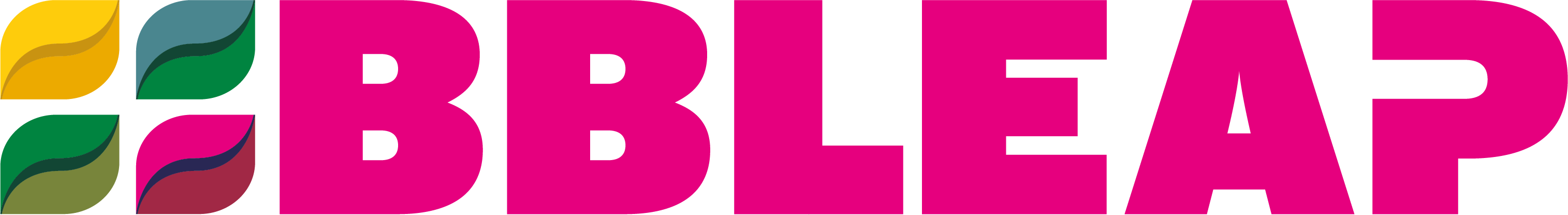 bbleap logo