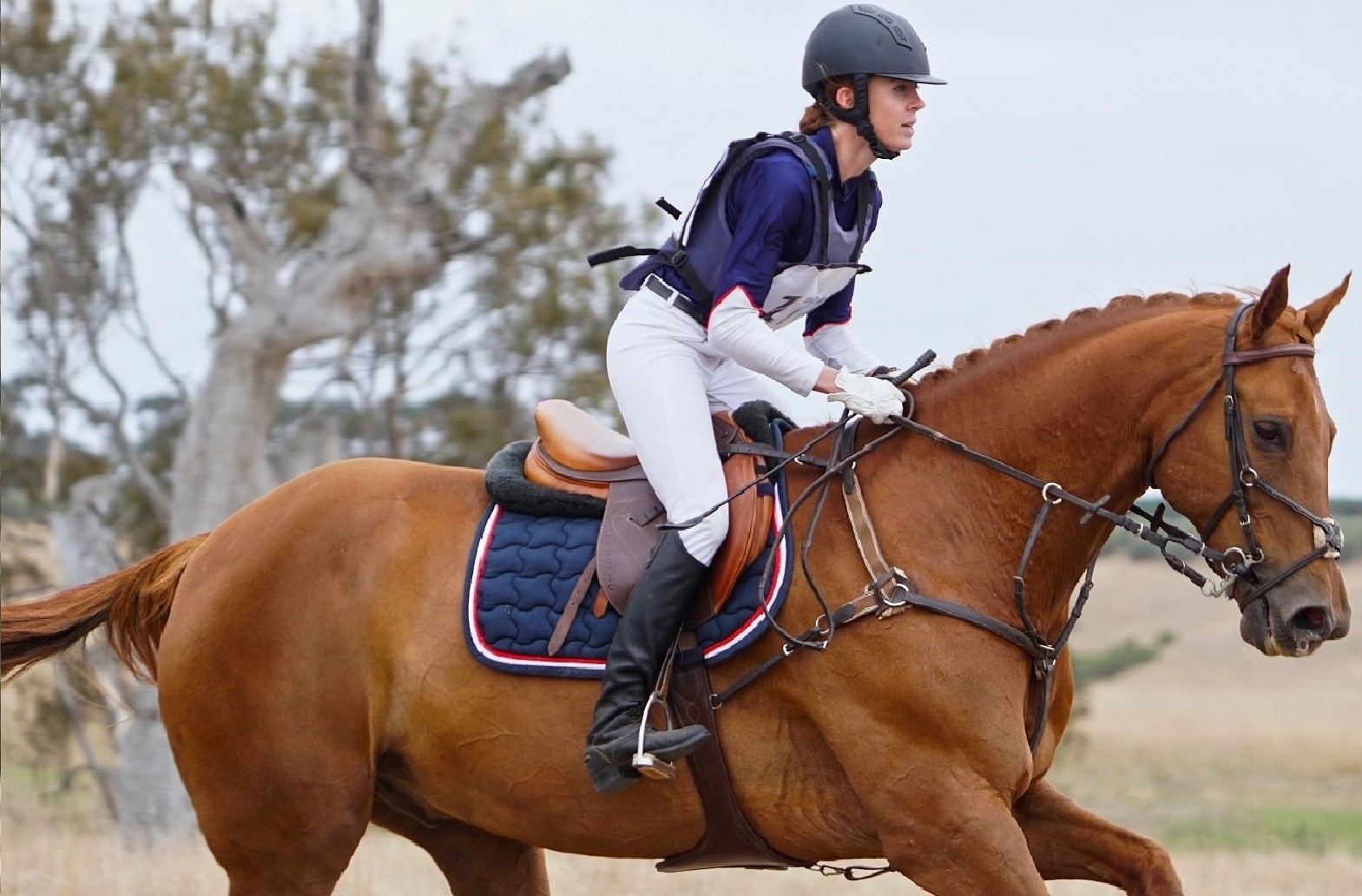 Equestrian Confidence Free inar Freedom from Competition Nerves