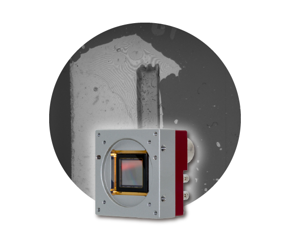 고속 고감도 16k BSI & NIR 조명