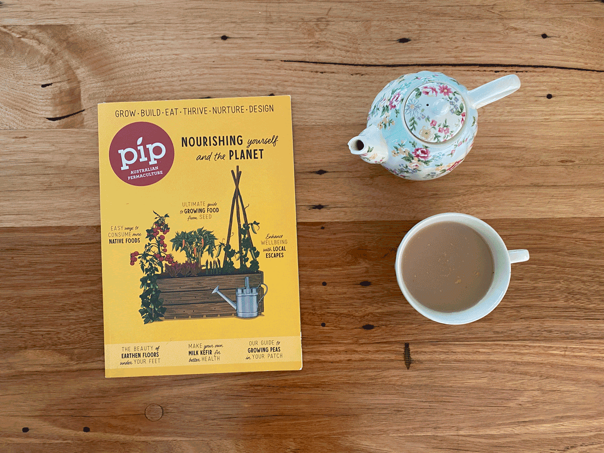 How To Use Your Coupon Codes how-to-use-your-coupon-codes