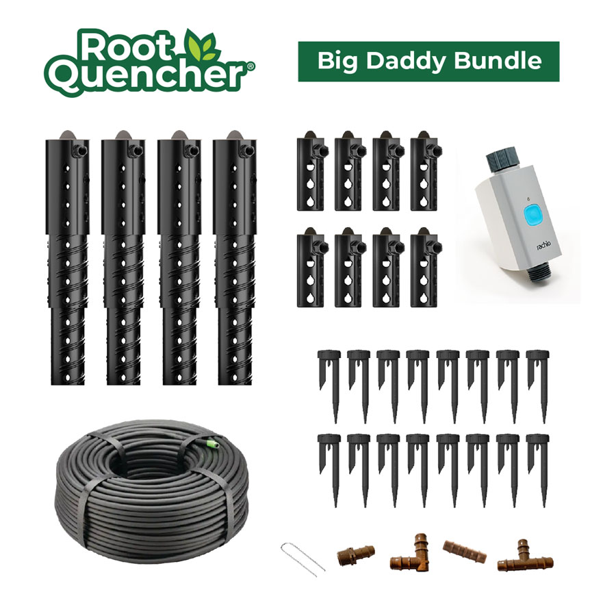 Big Daddy Bundle