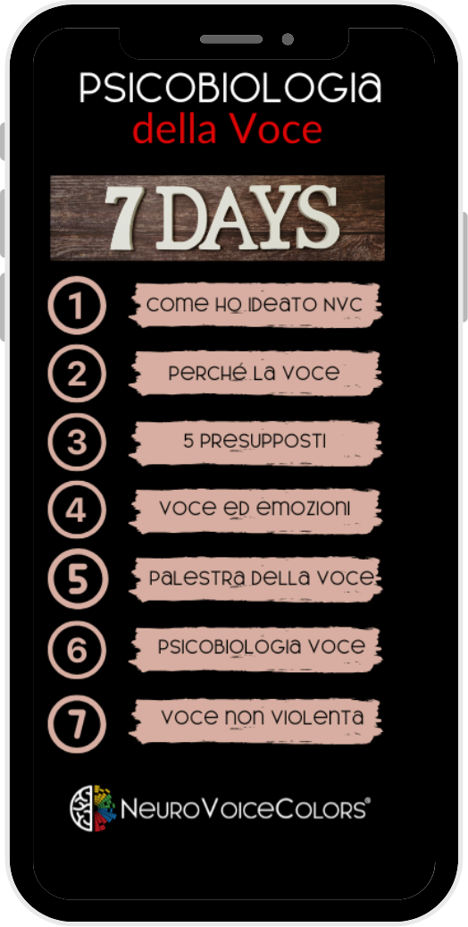 Bonus 4