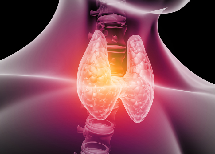 3D medical illustration of the human thyroid gland in the neck, shown glowing in red and orange to highlight inflammation or thyroid dysfunction.