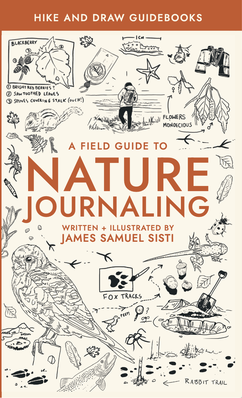 A Field Guide to Nature Journaling Cover