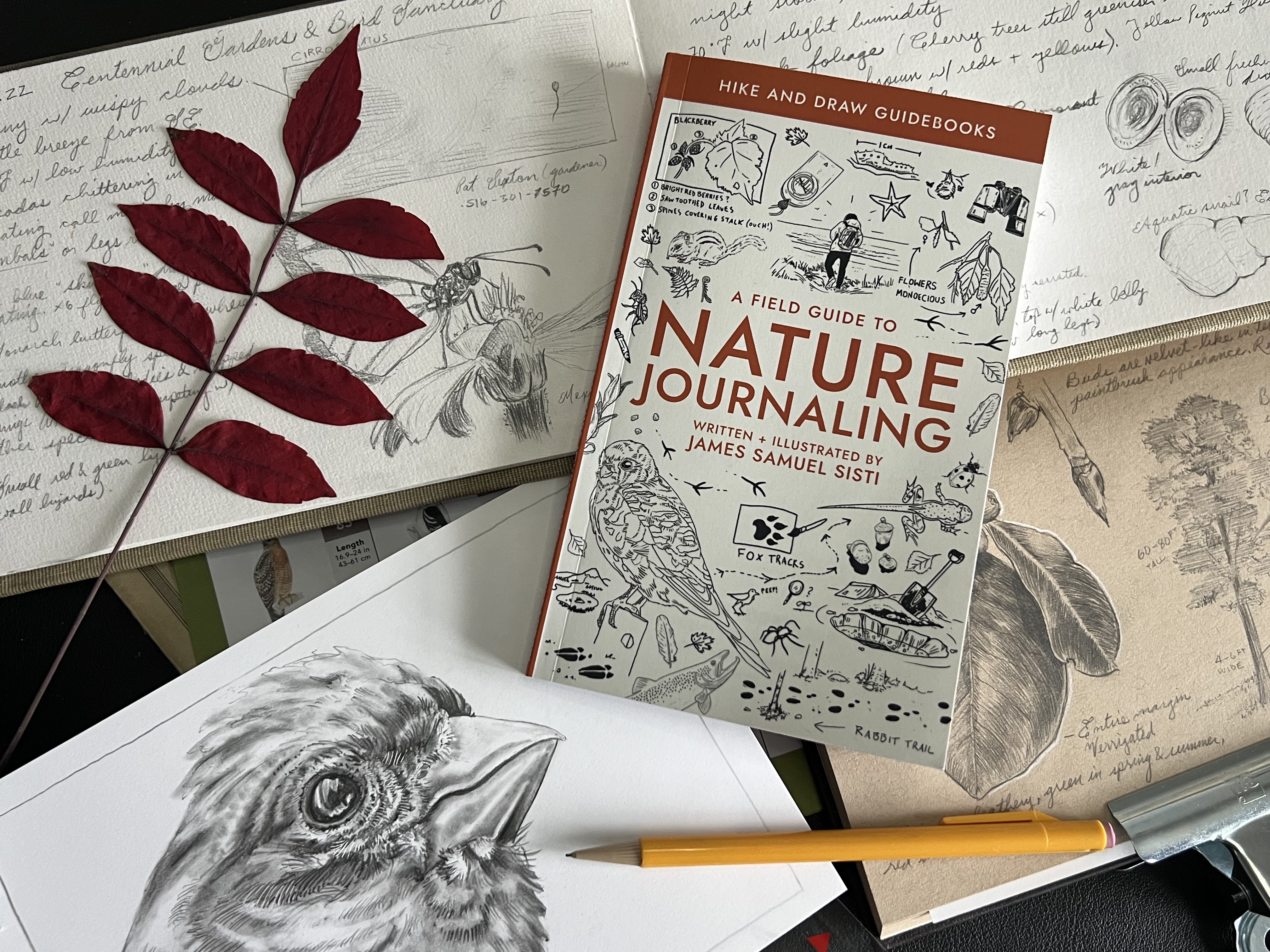 A Field Guide to Nature Journaling Review