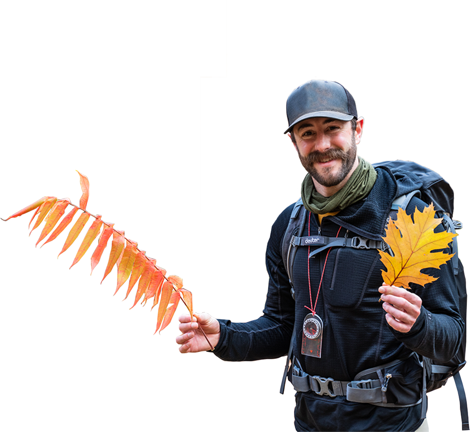 A Field Guide to Nature Journaling Author