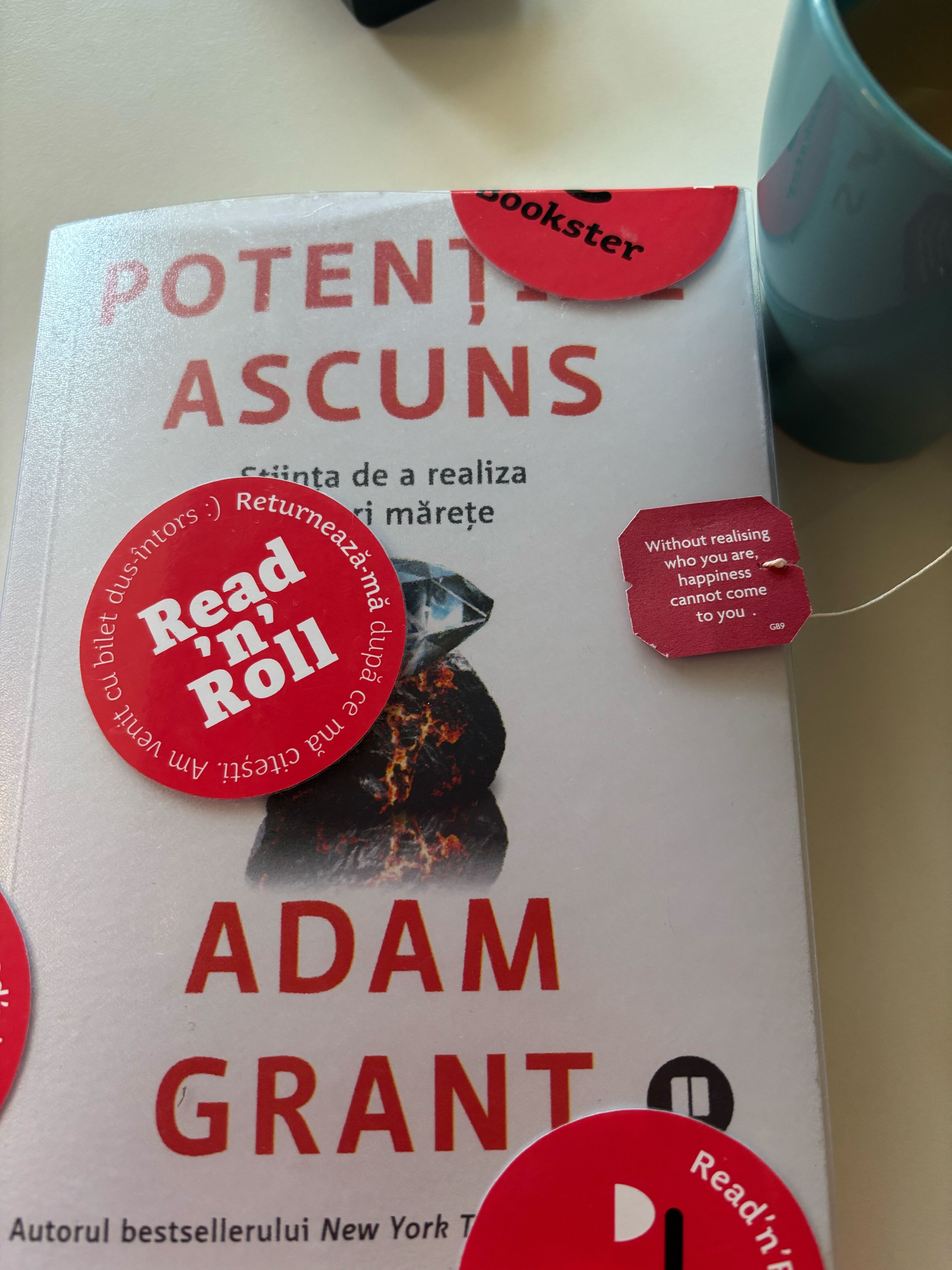 Working Identity Book