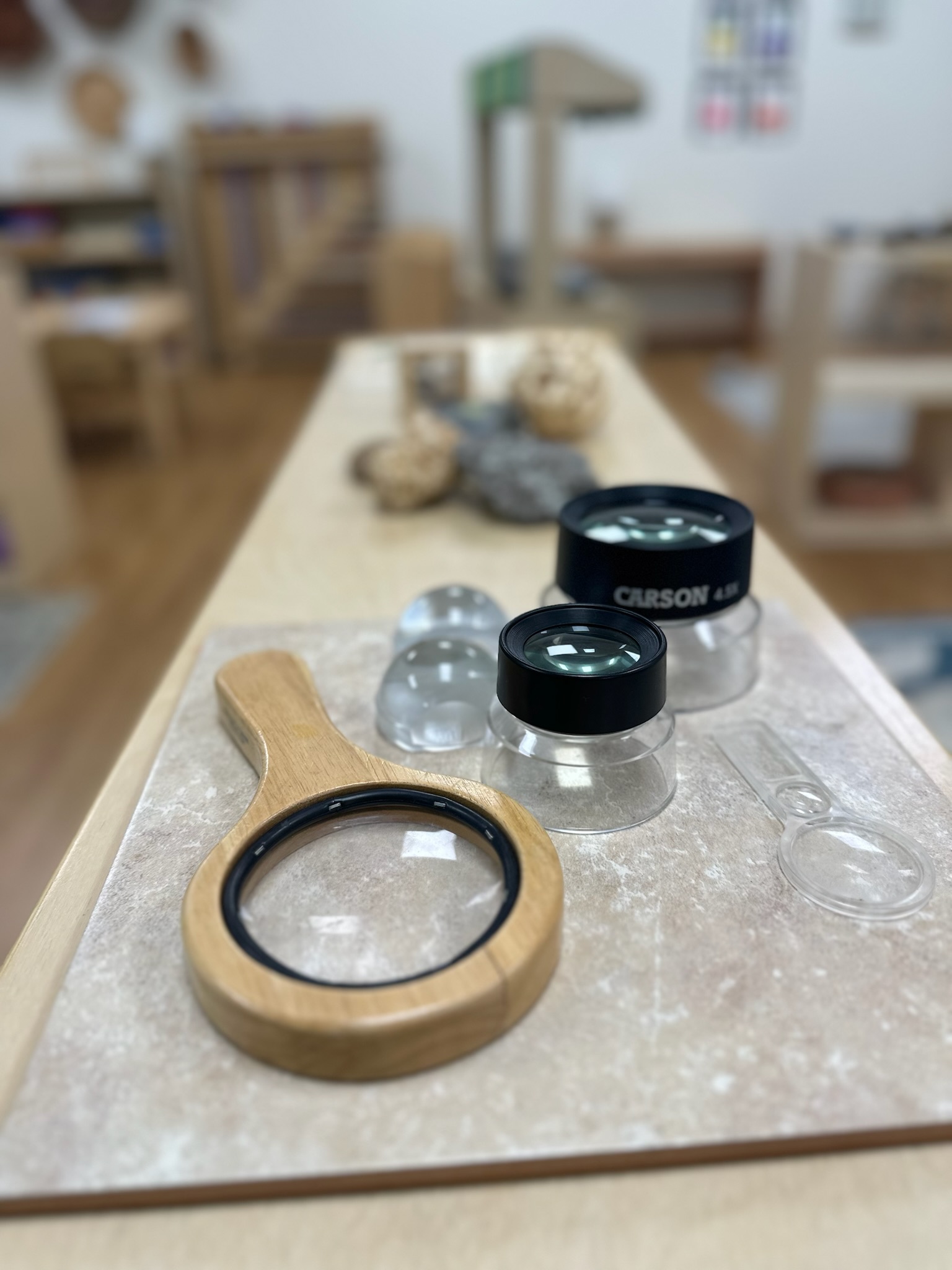 Preschool discovery materials including magnifying glasses and natural objects for hands-on exploration at Ivybrook Academy Summerville.